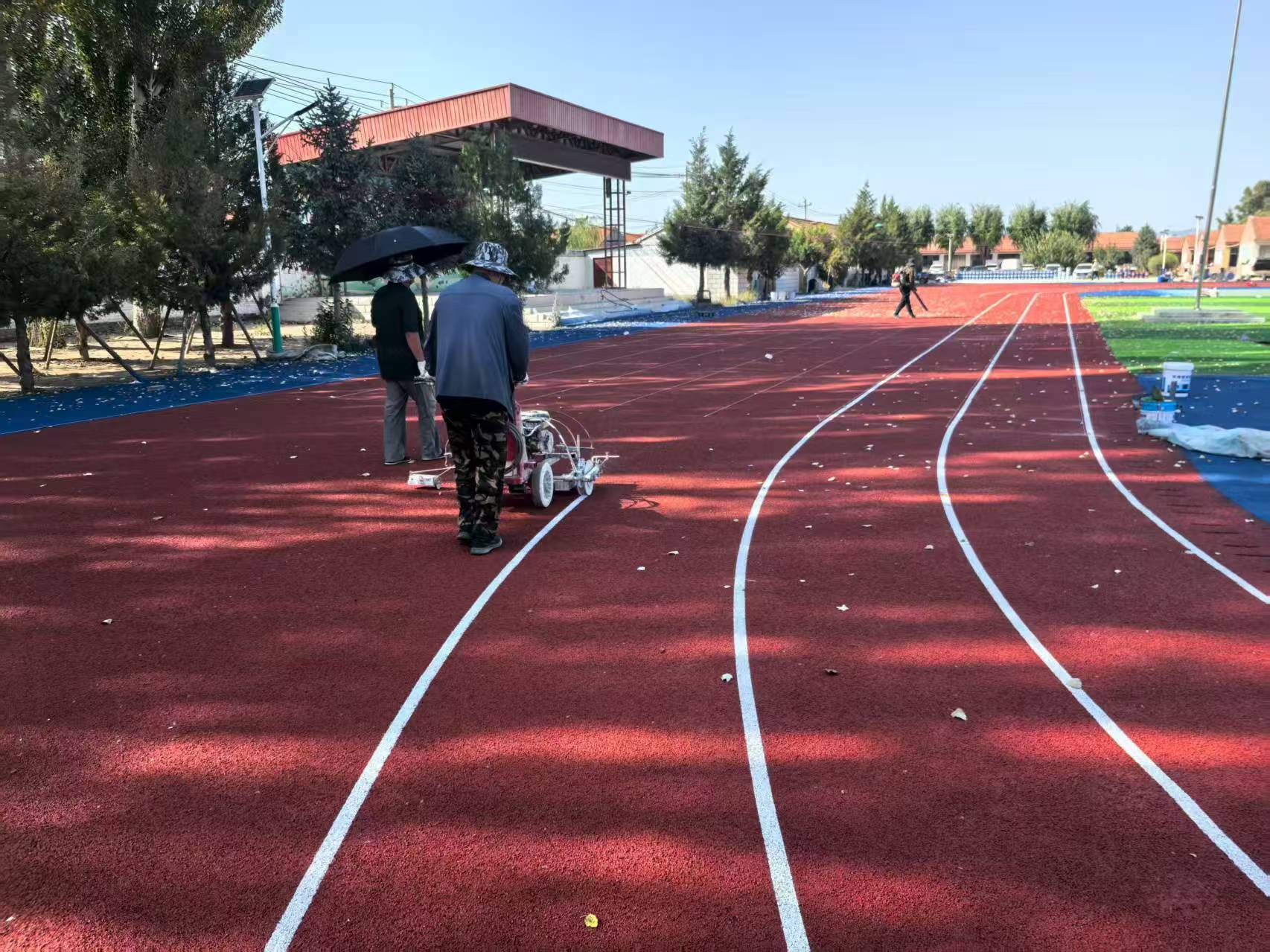 广州市EPDM塑胶跑道复合型塑胶跑道 - 厂家
